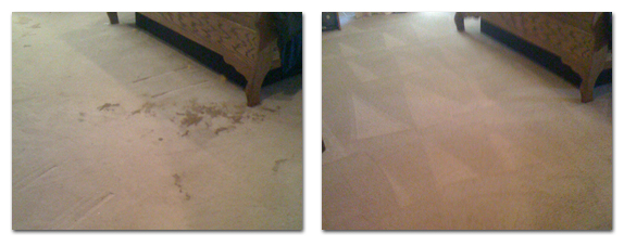 GoDry Carpet Spot and Stain Removal - Greensboro, NC